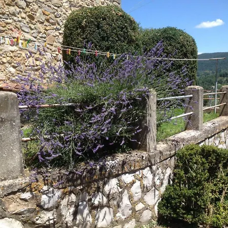 Le Gemelle Διαμέρισμα Sasso Pisano